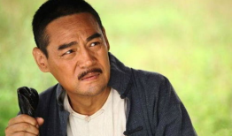 巍子主演的电视剧,传奇人生，荧幕风采